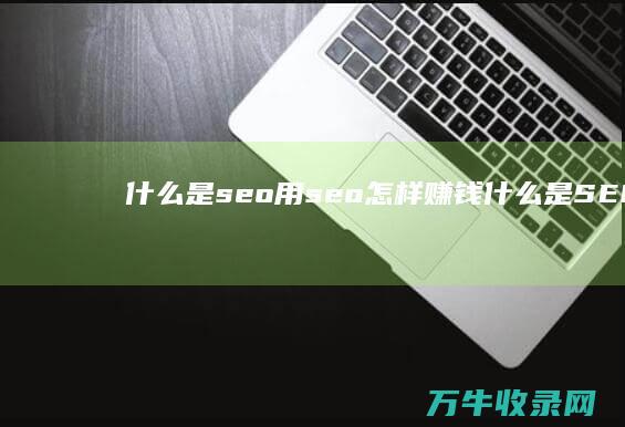 什么是seo 用seo怎样赚钱 (什么是SEO优化,有什么优点有什么缺点)