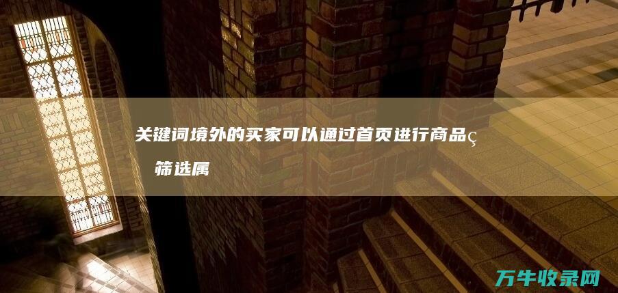 关键词 境外的买家可以通过首页进行商品的筛选 属性 品牌 什么是跨境电商店铺的主要流量来源之一 (国外关键词)