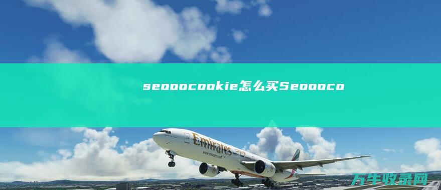 seooocookie怎么买 (Seooocookie)