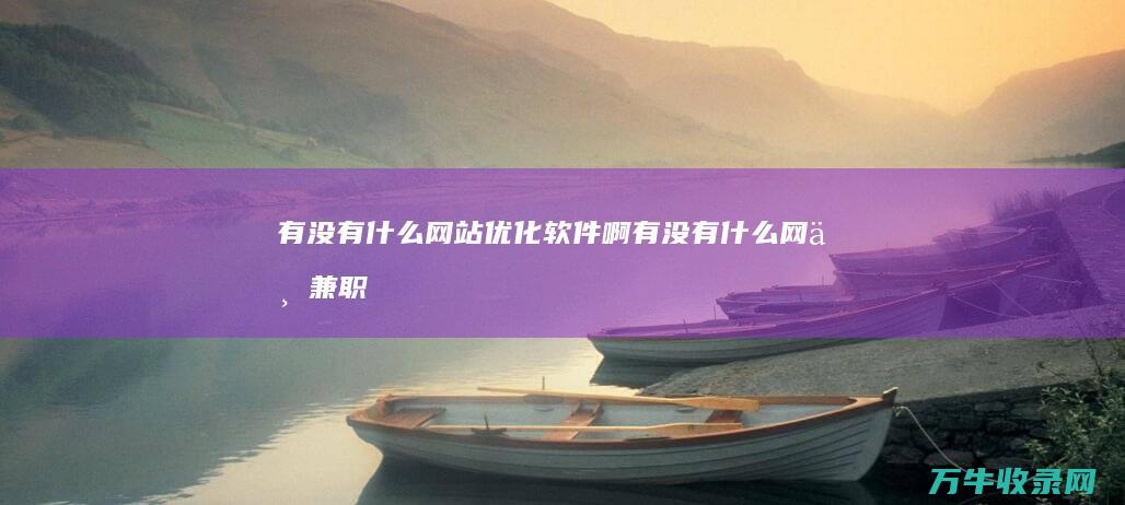 有没有什么网站优化软件啊 (有没有什么网上兼职的工作)