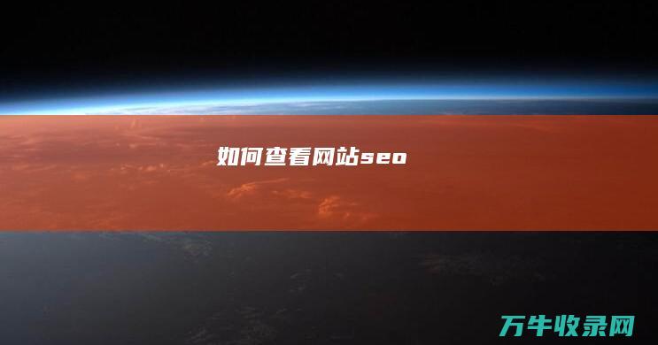 如何查看网站seo