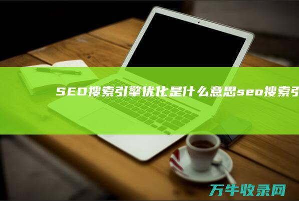 SEO 搜索引擎优化 是什么意思 (seo搜索引擎优化试题及答案)