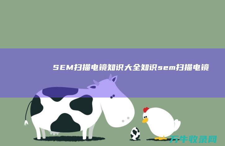 SEM 扫描电镜 知识大全 知识 (sem扫描电镜)