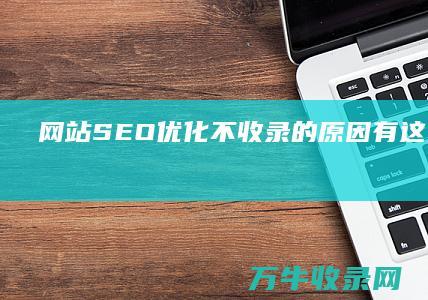 网站SEO优化不收录的原因有这几种可能 (88个seo网站优化基础知识点)