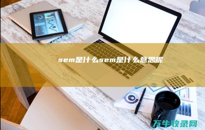 sem是什么 (sem是什么意思呢)